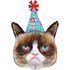 Grumpy Cat Party Face 