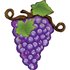 Linky Grapes - Purple 